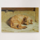 Recherche de cocker spaniel puzzles Canine