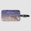 Recherche de renard arctique accessoires Nature