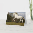 Suche nach stallion karten Rasse