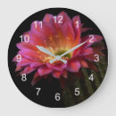 Recherche de fleur de cactus horloges Succulent