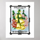 Recherche de fleurs de digitale art Jardin