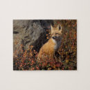 Recherche de une canine puzzles Parc