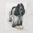 Suche nach englisch cocker spaniel postkarten Haustier