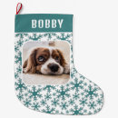 Suche nach hund im schnee weihnachtsschmuck Für haustiere