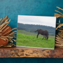 Suche nach wieser fotoplatten Wiesen