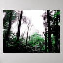 Suche nach weißes holz poster Bäume