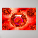 Suche nach endemisch poster Rund