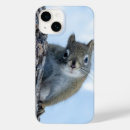 Recherche de squirrel iphone coques Écureuil
