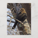 Suche nach rusty poster Natur