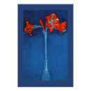 Recherche de amaryllis posters Fleurs rouges