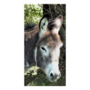 Recherche de donkey posters Mignon