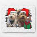 Suche nach ho mousepads Katze