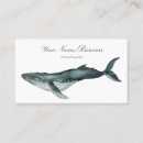 Recherche de bosses cartes visite Baleine