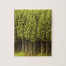 Suche nach immergrüner baum puzzle Wald
