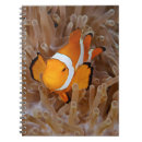 Suche nach oceanlife Sealife
