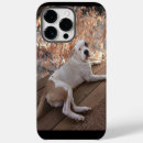 Recherche de endormi iphone coques Animaux