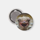 Suche nach sträuße magnete Vögel
