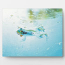 Suche nach frosch fotoplatten Amphibisch