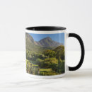 Recherche de le cap tasses Vert