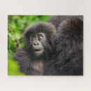 Recherche de gorilla puzzles Animal