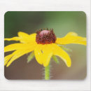 Suche nach bouldern mousepads Colorado