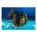 Recherche de palourde art Nature