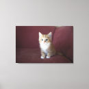 Suche nach sofa leinwandbilder Innen