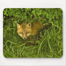 Suche nach junges mousepads Tag