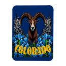 Recherche de mouflon magnets Animal