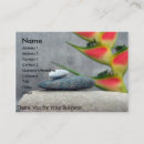 Recherche de roches zen cartes visite Fleurs