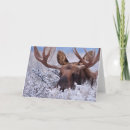 Suche nach nationales karten Berg