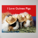 Suche nach pigs poster Animal