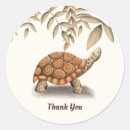 Recherche de tortoise autocollants Reptile