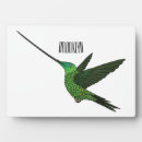 Suche nach kolibris fotoplatten Vogelvogel