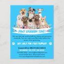 Suche nach hunde flyer Tierarzt