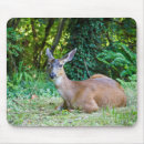 Recherche de se reposer tapis souris Nature
