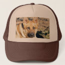 Recherche de berger allemand casquettes Dog