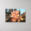 Suche nach rosa apfelblüten poster Leinwand