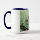 Suche nach blauer morpho schmetterling kaffee tassen Natur