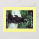 Recherche de vraiment cartes postales Amour