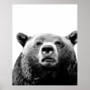 Suche nach kuckuck poster Tier