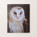 Suche nach schleiereule puzzle Tier