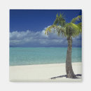 Recherche de exotique magnets Vacances