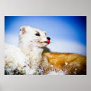 Recherche de blanc bleu posters Toile