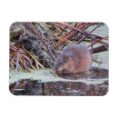 Recherche de pousse pousse magnets Faune