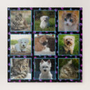 Recherche de chats noirs puzzles Amoureux des animaux