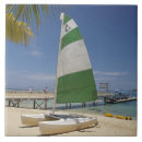 Recherche de plantation carreaux Fiji