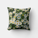 Recherche de champ de marguerite coussins Printemps