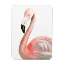 Recherche de flamants roses magnets Flamant rose
