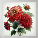 Recherche de fleurs de dahlia posters Pour tous